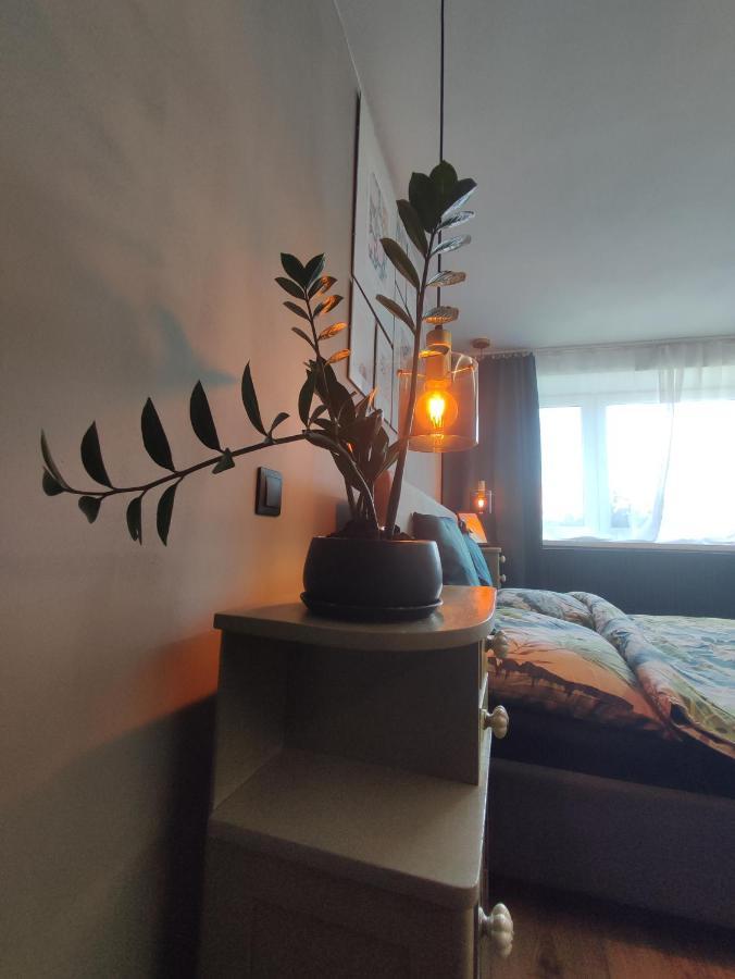 Dian Feelhome Banska Bela Eksteriør billede